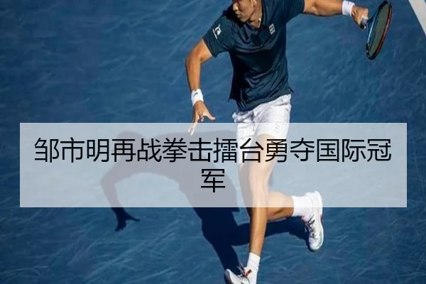邹市明再战拳击擂台勇夺国际冠军（DBGaming）
